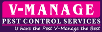 vManage